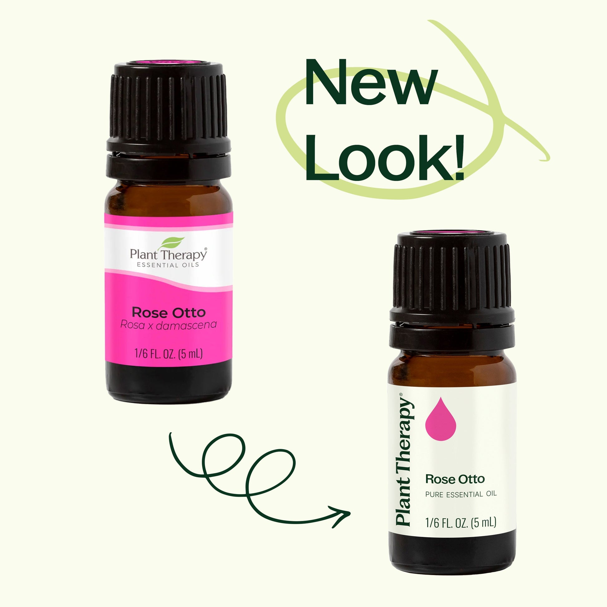 Rose Otto Essential Oil - EcoStuff