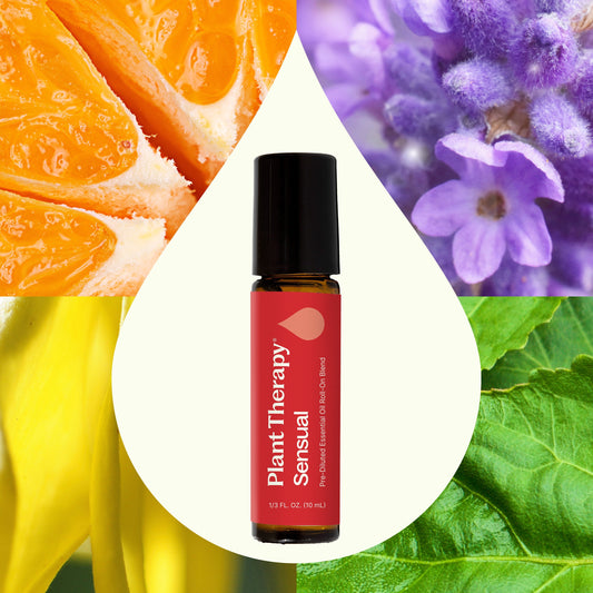 Sensual Essential Oil Blend Pre - Diluted Roll - On - EcoStuff