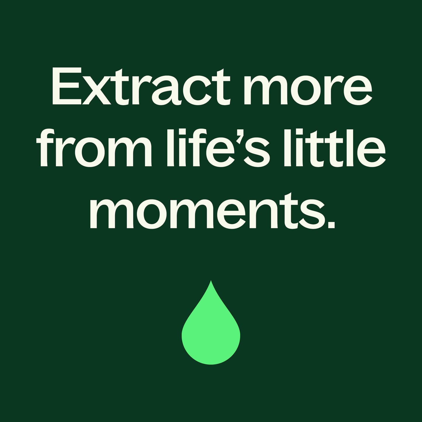 Sensual Essential Oil Blend Pre - Diluted Roll - On - EcoStuff