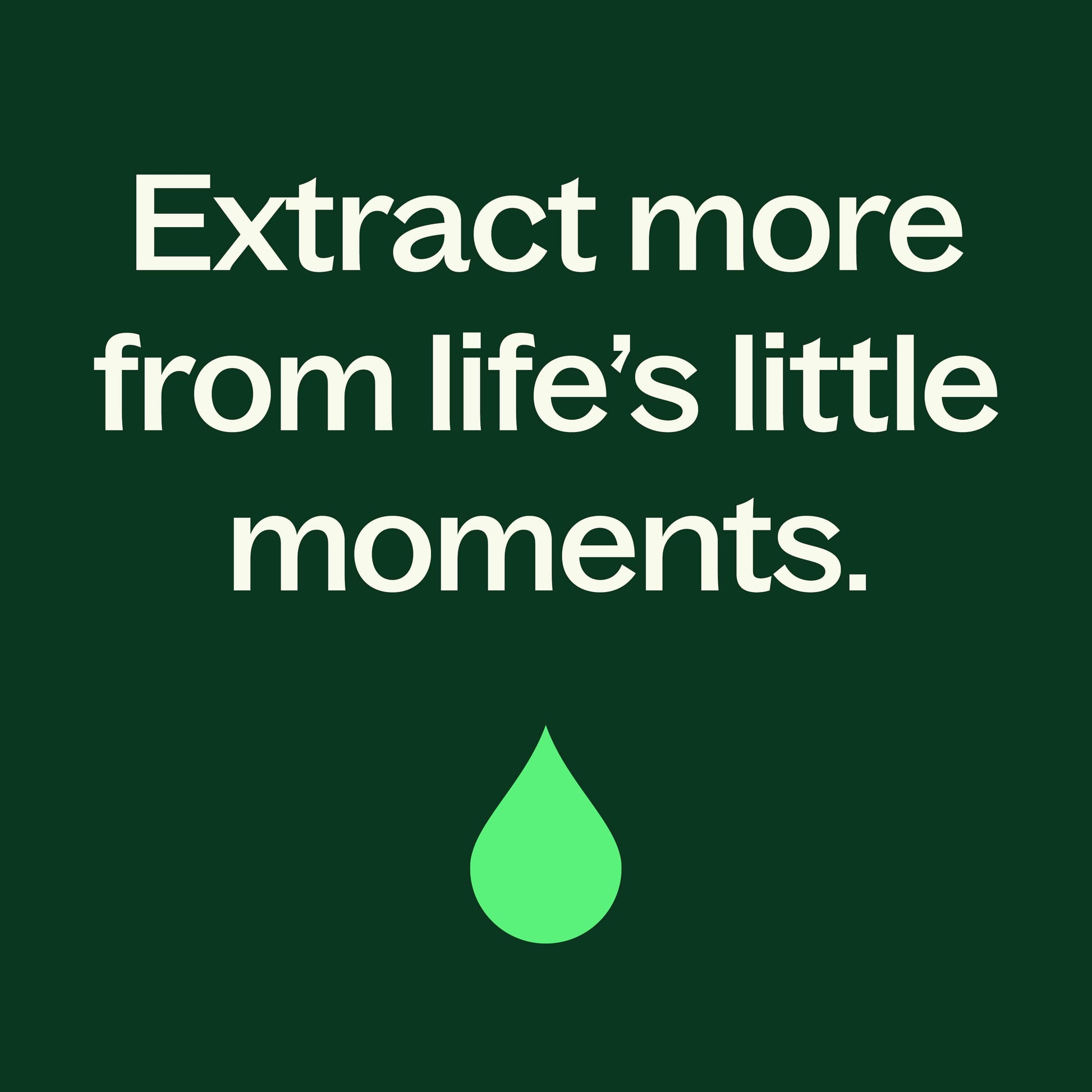 Sensual Essential Oil Blend Pre - Diluted Roll - On - EcoStuff
