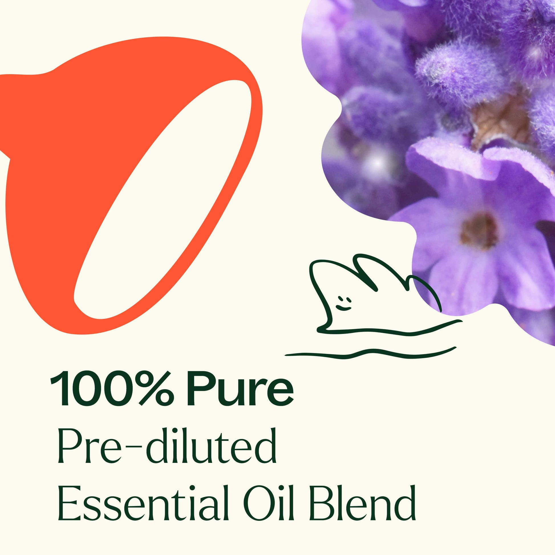 Sensual Essential Oil Blend Pre - Diluted Roll - On - EcoStuff