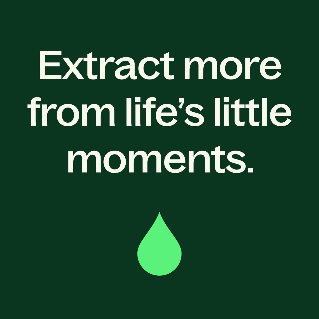 Sweet Fennel Essential Oil - EcoStuff
