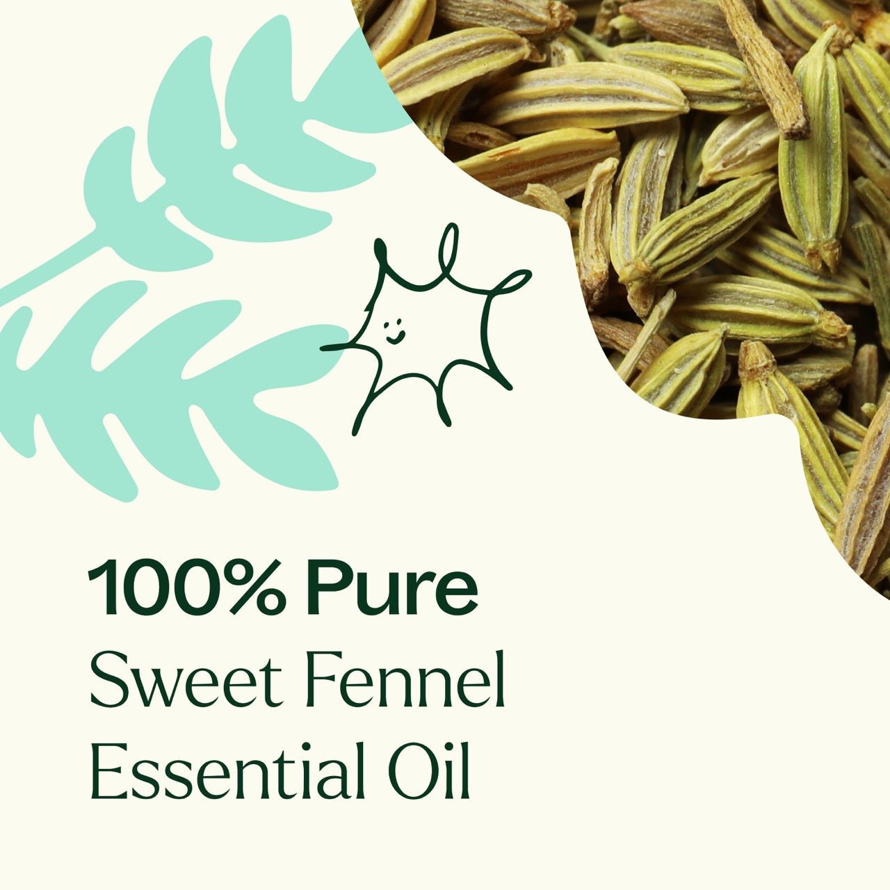 Sweet Fennel Essential Oil - EcoStuff
