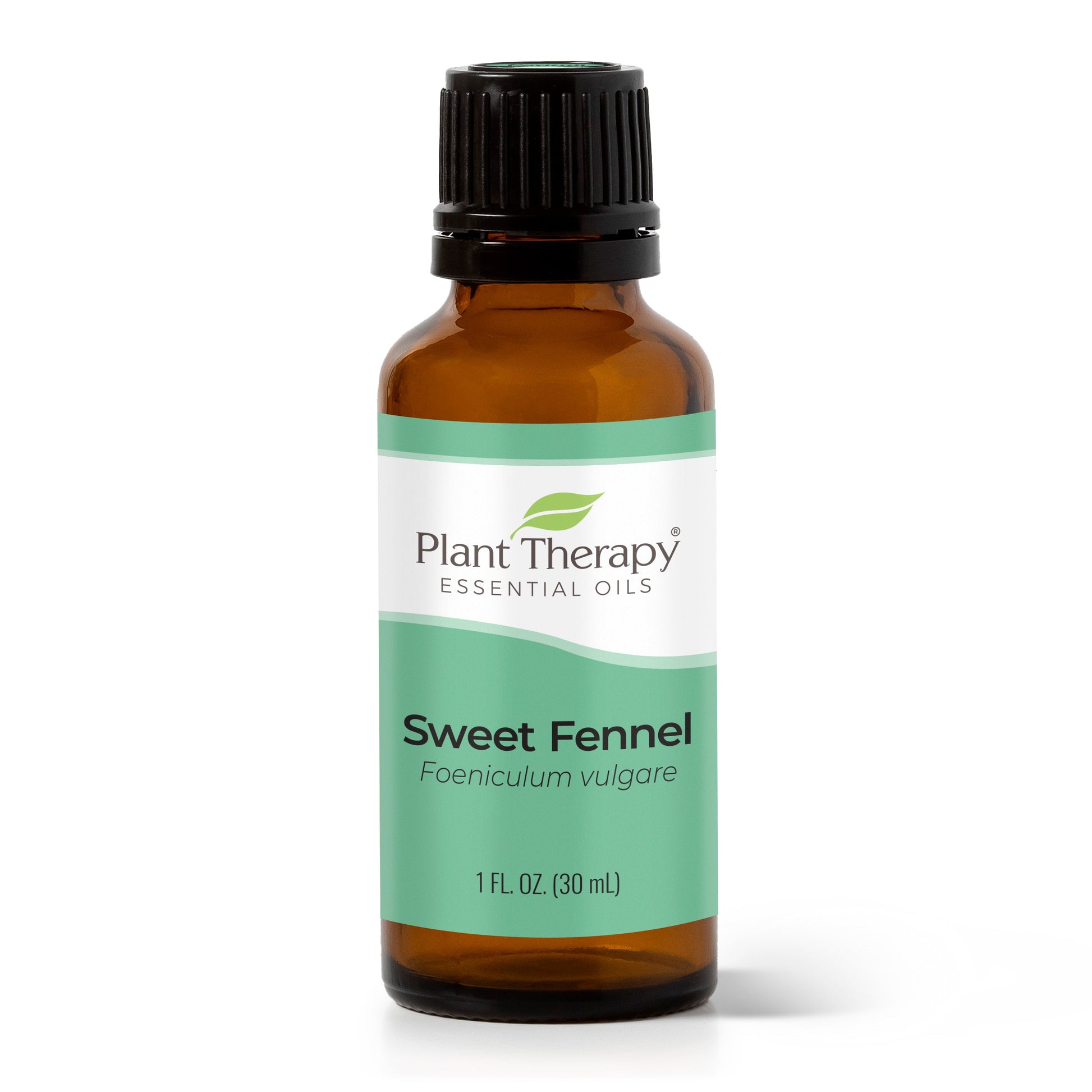 Sweet Fennel Essential Oil - EcoStuff