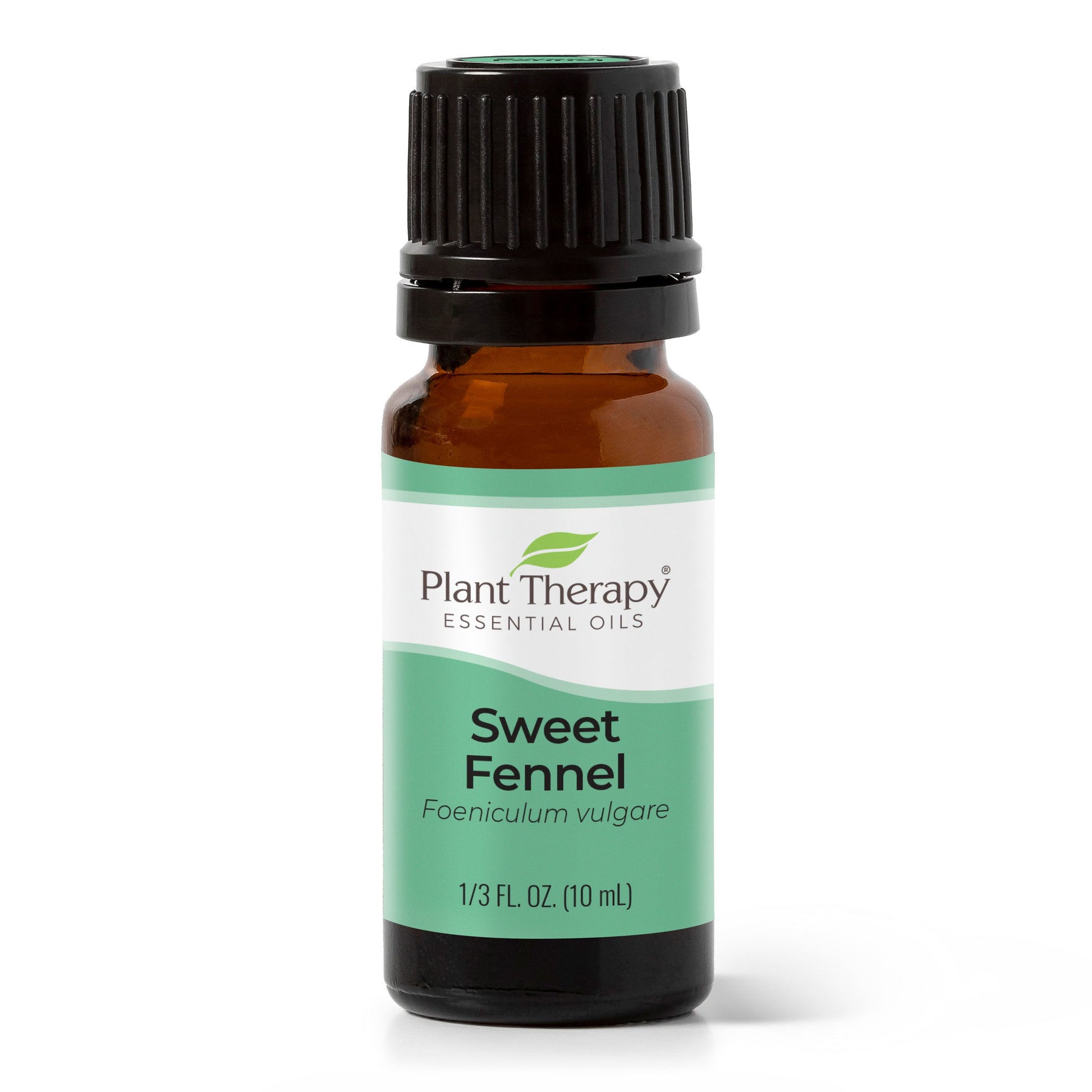 Sweet Fennel Essential Oil - EcoStuff