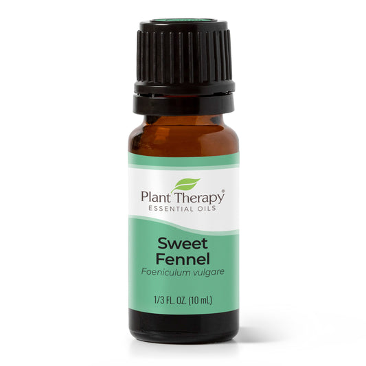 Sweet Fennel Essential Oil - EcoStuff
