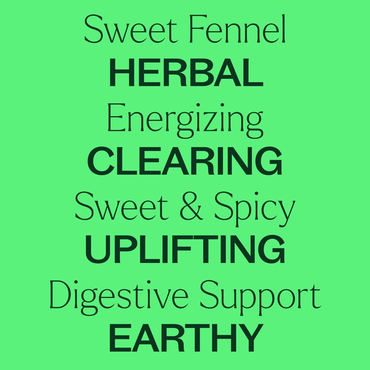 Sweet Fennel Essential Oil - EcoStuff