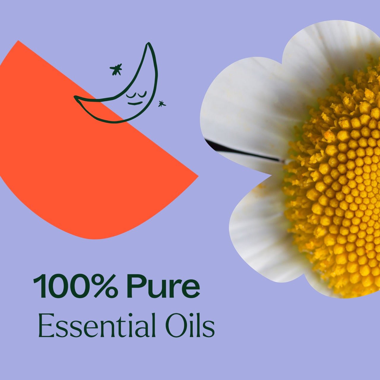 Sweet Slumber KidSafe Essential Oil - EcoStuff