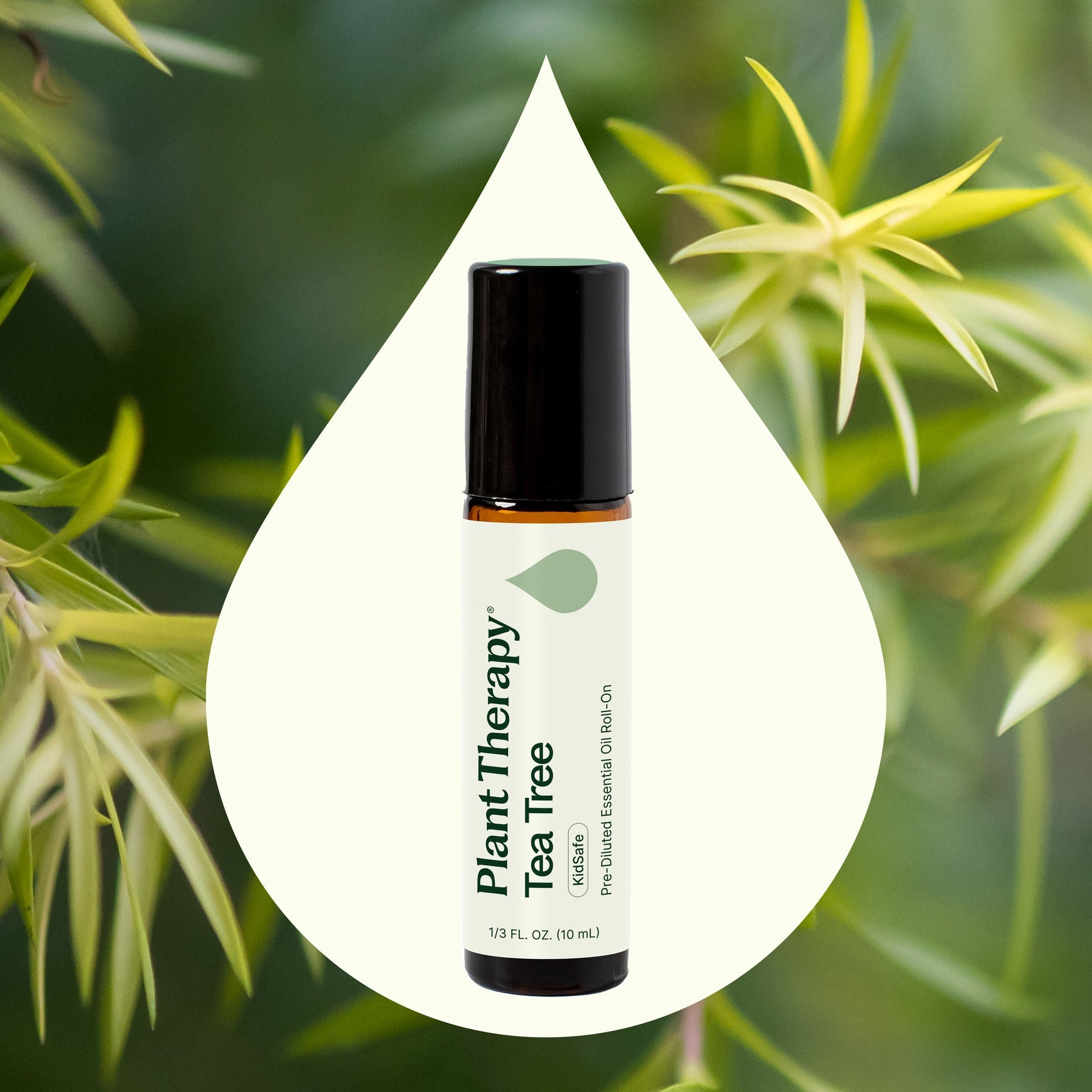 Tea Tree Essential Oil Pre - Diluted Roll - On - EcoStuff