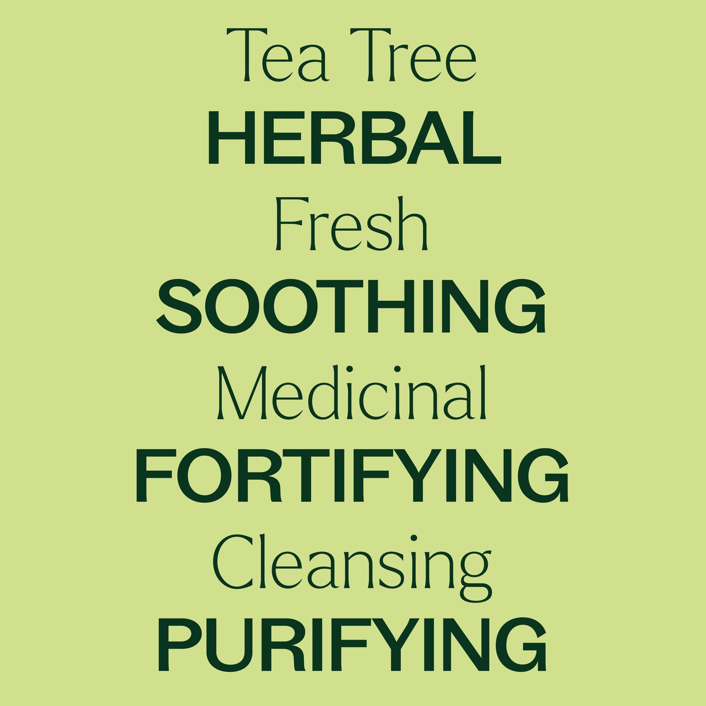 Tea Tree Essential Oil Pre - Diluted Roll - On - EcoStuff