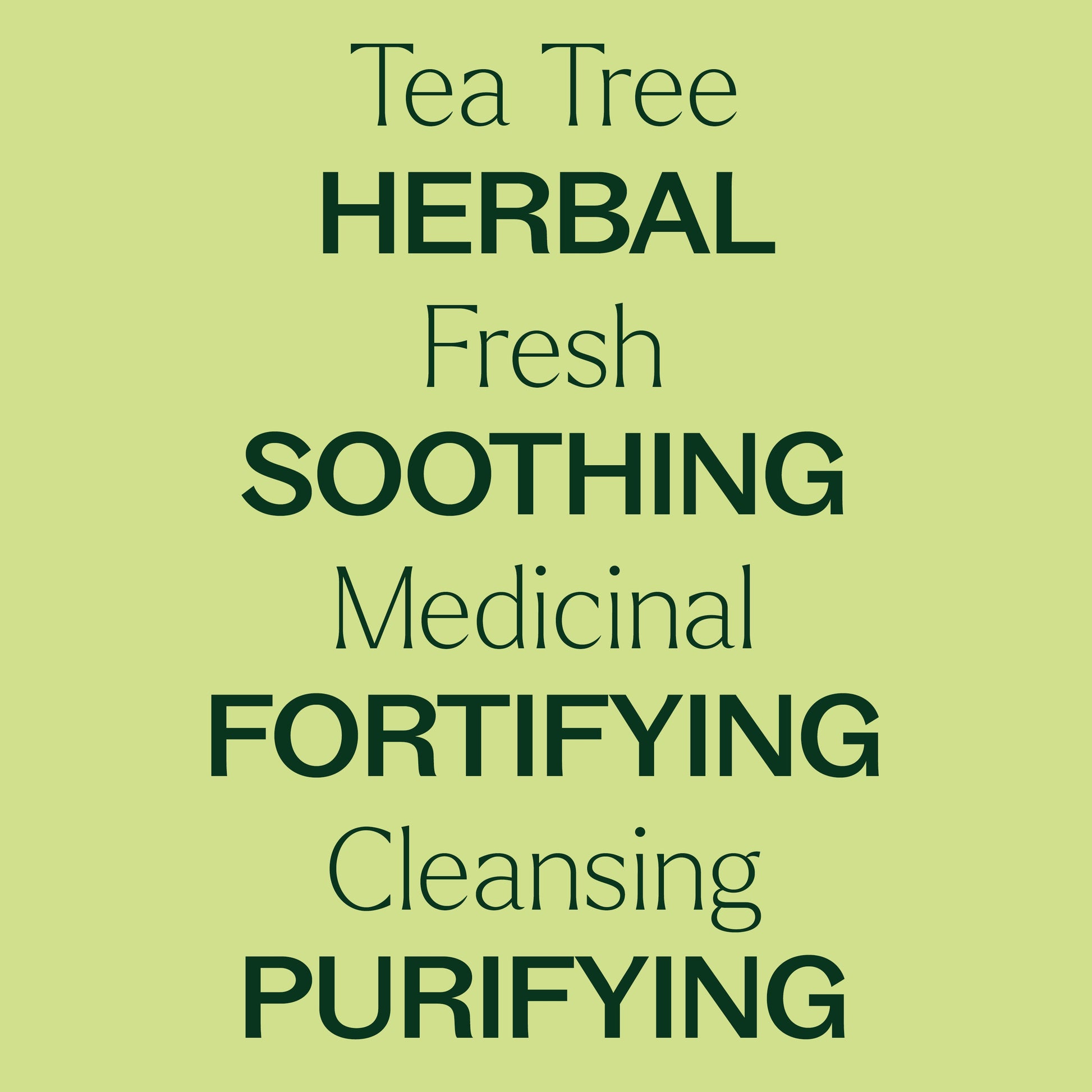 Tea Tree Essential Oil Pre - Diluted Roll - On - EcoStuff