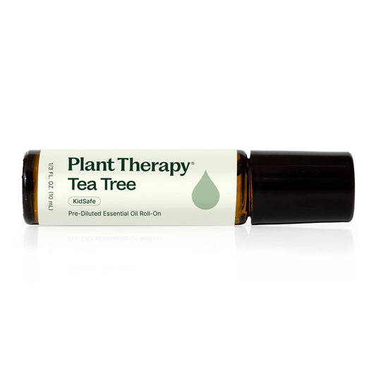 Tea Tree Essential Oil Pre - Diluted Roll - On - EcoStuff