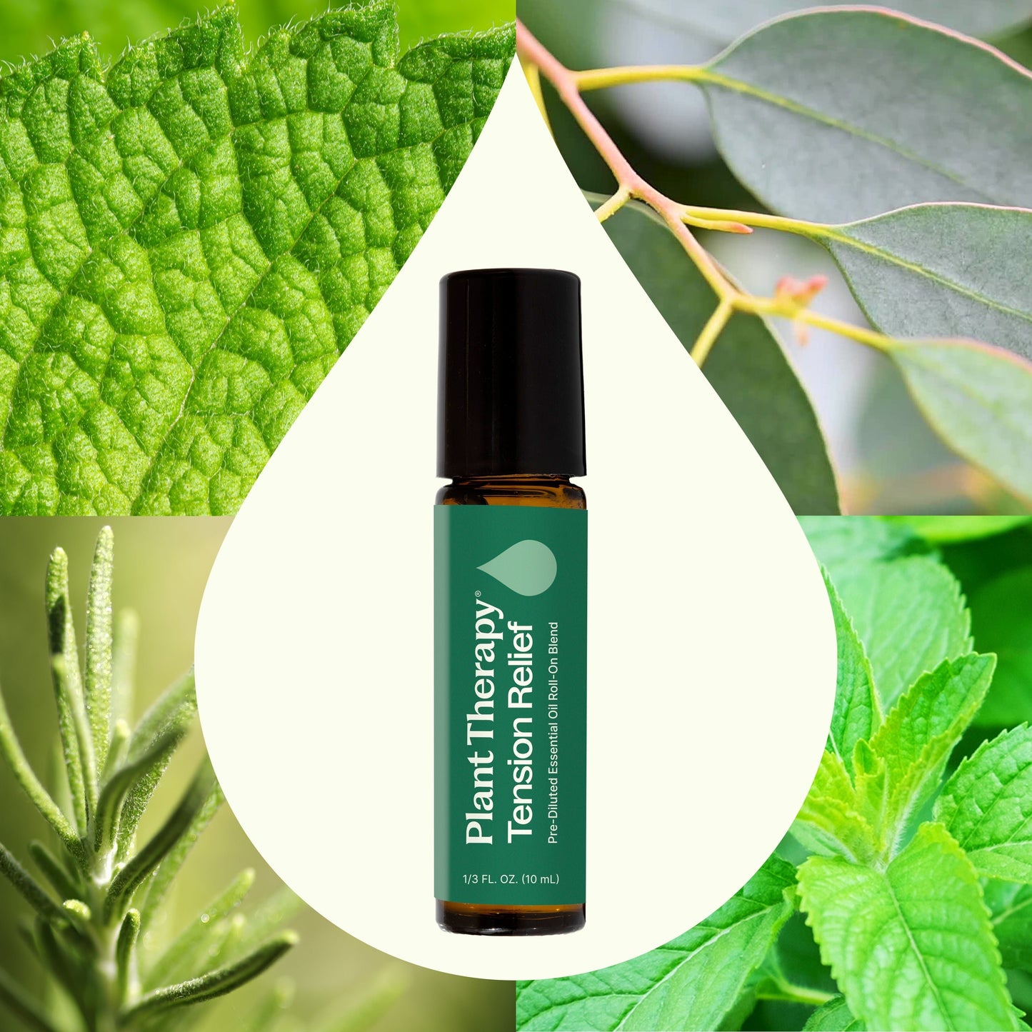 Tension Relief Essential Oil Blend Pre - Diluted Roll - On - EcoStuff
