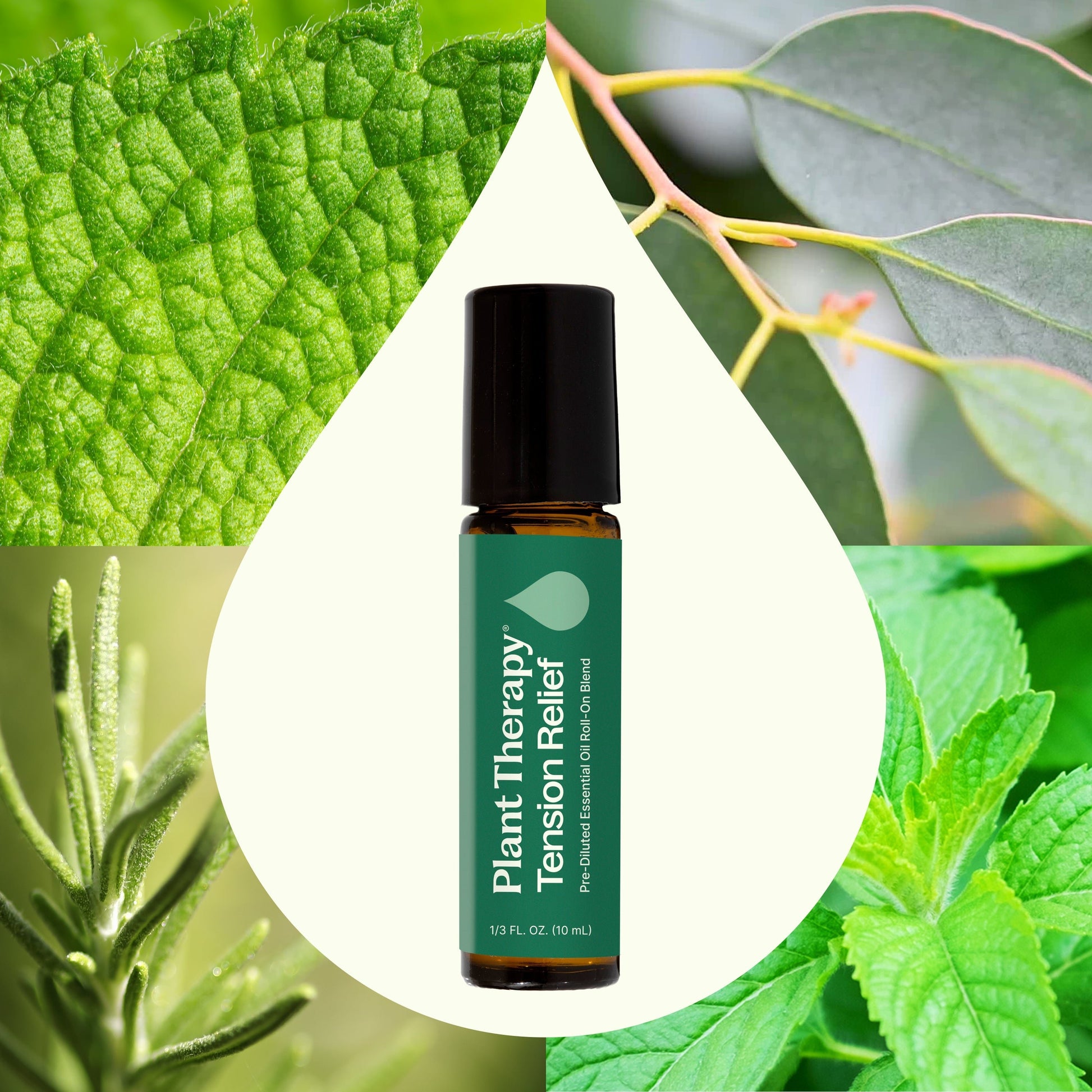 Tension Relief Essential Oil Blend Pre - Diluted Roll - On - EcoStuff