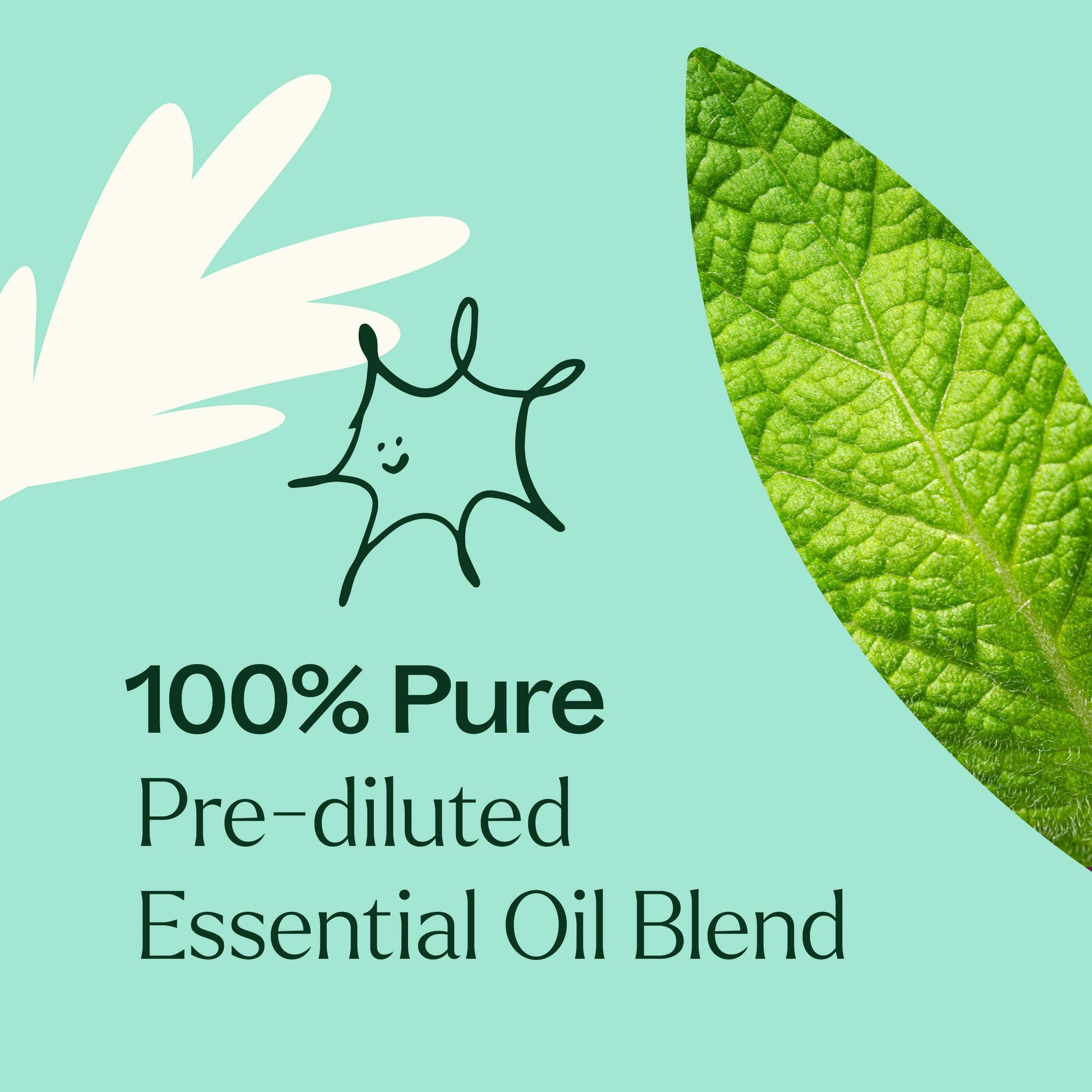 Tension Relief Essential Oil Blend Pre - Diluted Roll - On - EcoStuff