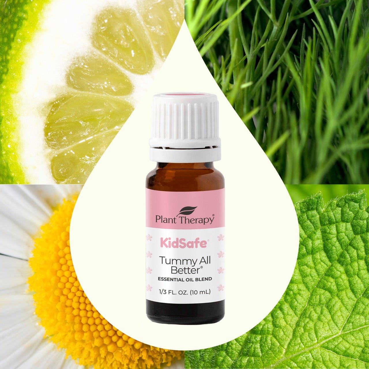 Tummy All Better KidSafe Essential Oil - EcoStuff