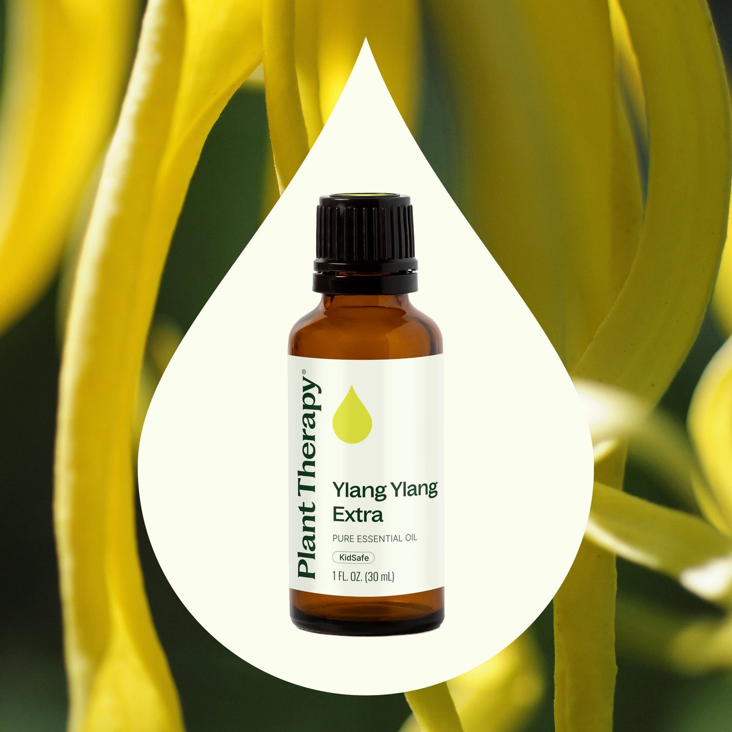 Ylang Ylang Extra Essential Oil - EcoStuff