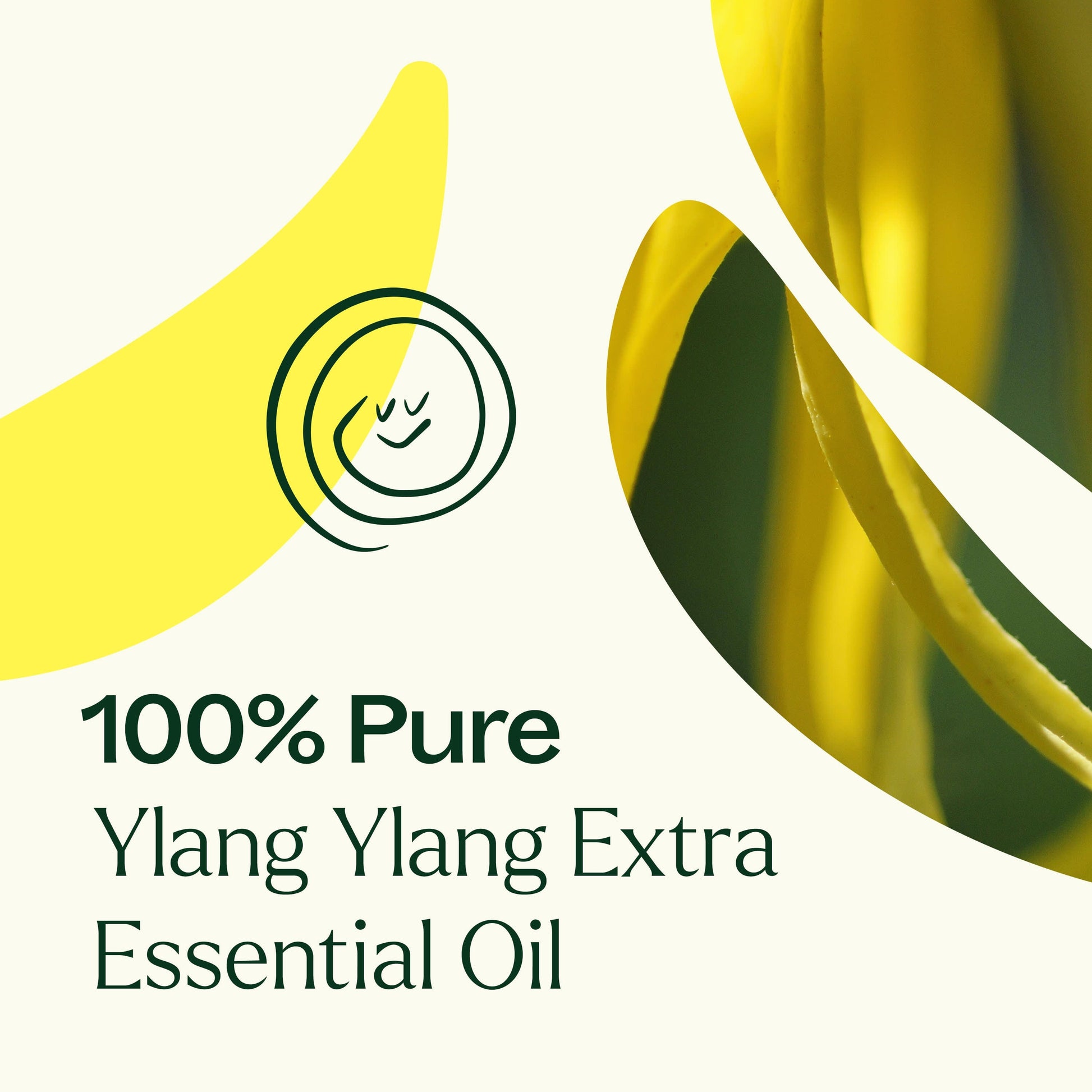 Ylang Ylang Extra Essential Oil - EcoStuff