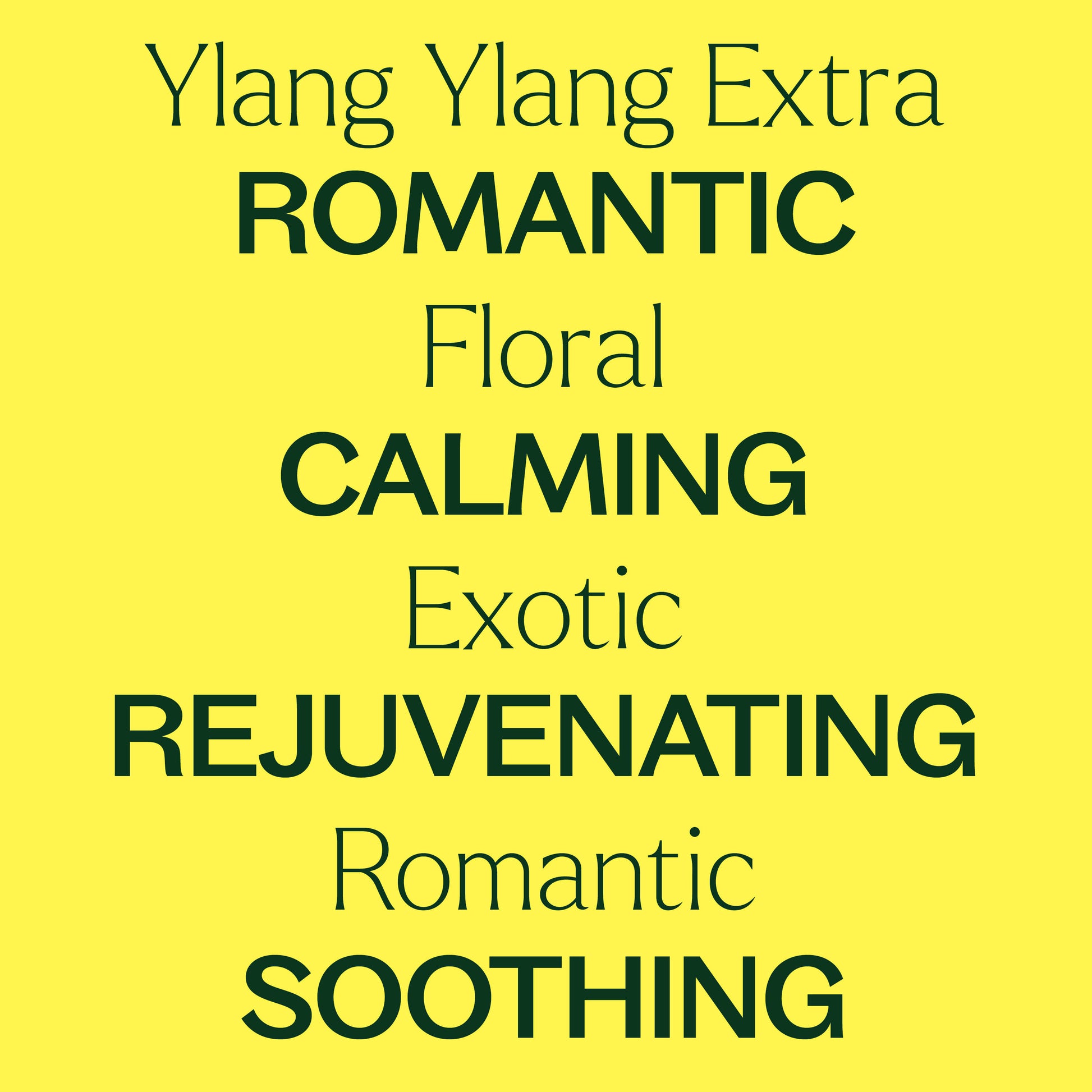 Ylang Ylang Extra Essential Oil - EcoStuff